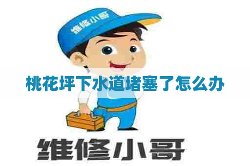 桃花坪下水道堵塞了怎么办