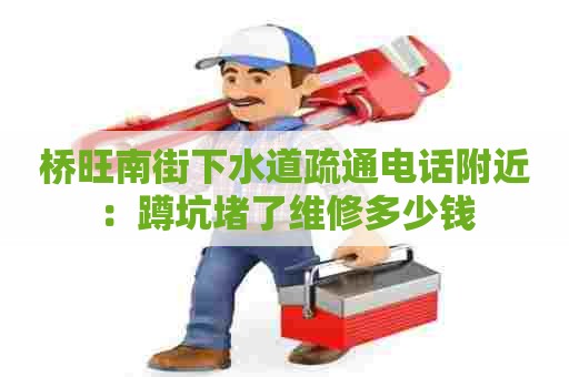 桥旺南街下水道疏通电话附近:蹲坑堵了维修多少钱 桥旺南街下水道疏通电话附近:蹲坑堵了维修多少钱