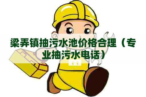 梁弄镇抽污水池价格合理（专业抽污水电话）