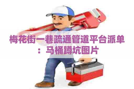 梅花街一巷疏通管道平台派单：马桶蹲坑图片