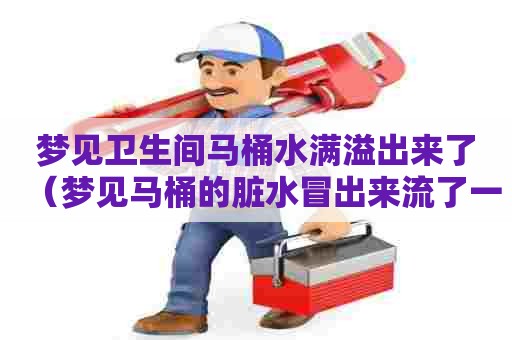 梦见卫生间马桶水满溢出来了（梦见马桶的脏水冒出来流了一地）