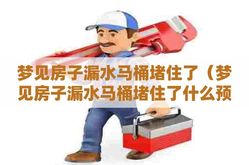 梦见房子漏水马桶堵住了(梦见房子漏水马桶堵住了什么预兆) 梦见房子漏水马桶堵住了(梦见房子漏水马桶堵住了什么预兆)