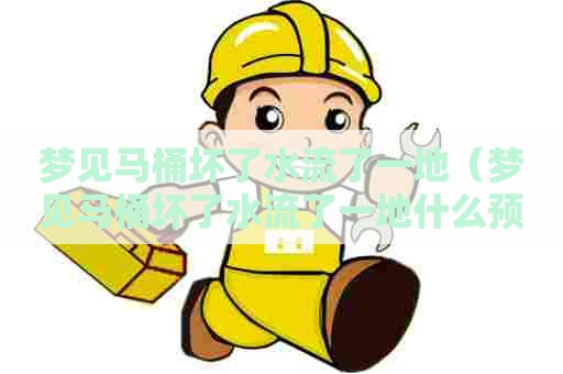 梦见马桶坏了水流了一地（梦见马桶坏了水流了一地什么预兆）