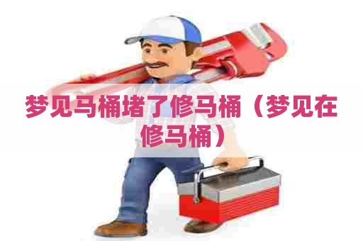 梦见马桶堵了修马桶（梦见在修马桶）