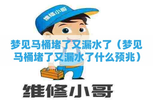 梦见马桶堵了又漏水了(梦见马桶堵了又漏水了什么预兆) 梦见马桶堵了又漏水了(梦见马桶堵了又漏水了什么预兆)