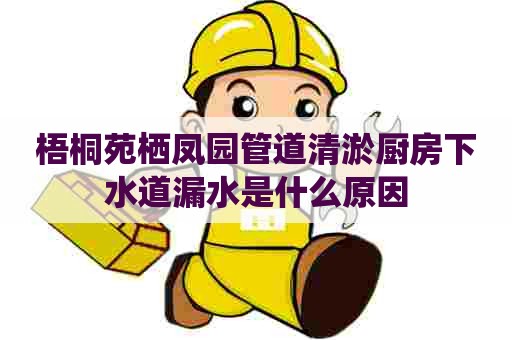 梧桐苑栖凤园管道清淤厨房下水道漏水是什么原因