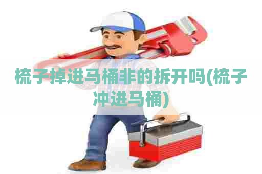 梳子掉进马桶非的拆开吗(梳子冲进马桶)