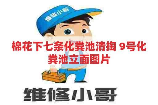 棉花下七条化粪池清掏 9号化粪池立面图片