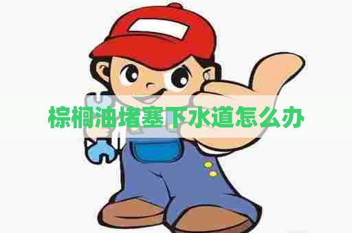 棕榈油堵塞下水道怎么办