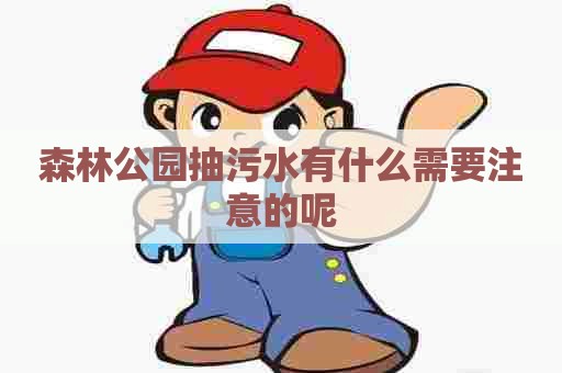 森林公园抽污水有什么需要注意的呢