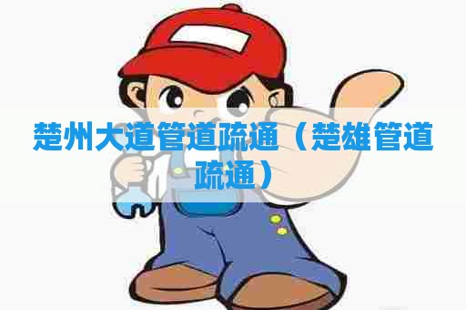 楚州大道管道疏通（楚雄管道疏通）