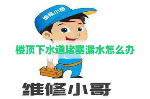 楼顶下水道堵塞漏水怎么办