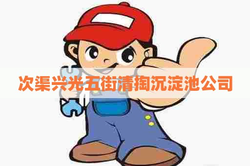 次渠兴光五街清掏沉淀池公司
