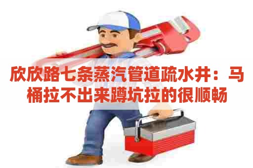 欣欣路七条蒸汽管道疏水井：马桶拉不出来蹲坑拉的很顺畅