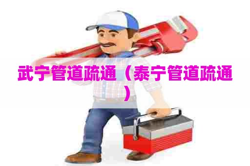 武宁管道疏通(泰宁管道疏通) 武宁管道疏通(泰宁管道疏通)
