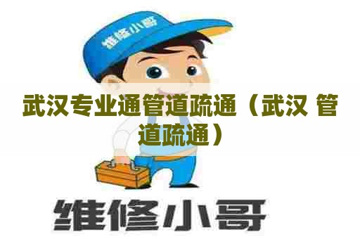 武汉专业通管道疏通（武汉 管道疏通）