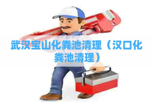 武汉宝山化粪池清理（汉口化粪池清理）