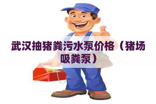 武汉抽猪粪污水泵价格（猪场吸粪泵）