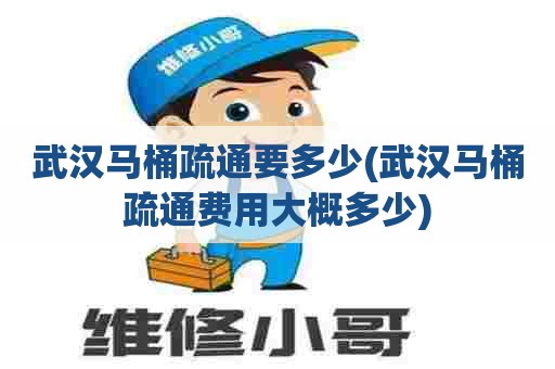 武汉马桶疏通要多少(武汉马桶疏通费用大概多少)