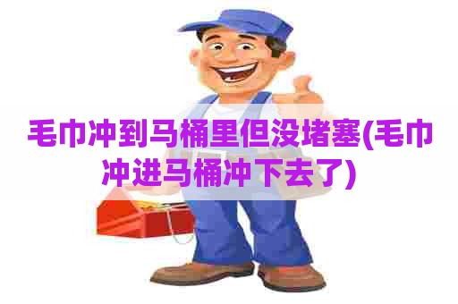 毛巾冲到马桶里但没堵塞(毛巾冲进马桶冲下去了)