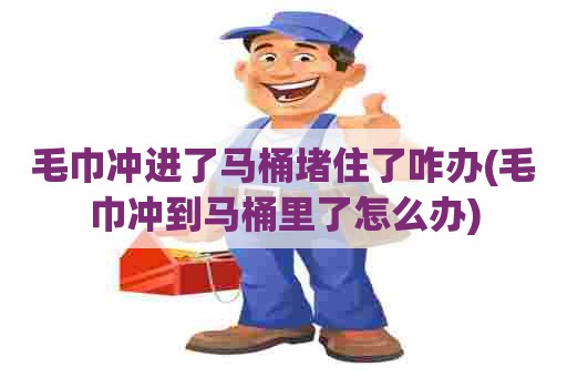 毛巾冲进了马桶堵住了咋办(毛巾冲到马桶里了怎么办)