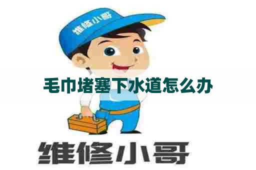 毛巾堵塞下水道怎么办 毛巾堵塞下水道怎么办