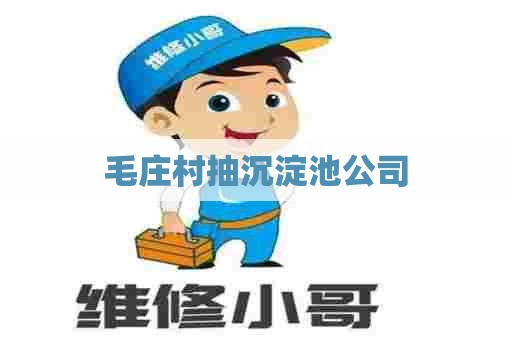 毛庄村抽沉淀池公司 毛庄村抽沉淀池公司