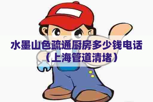 水墨山色疏通厨房多少钱电话（上海管道清堵）