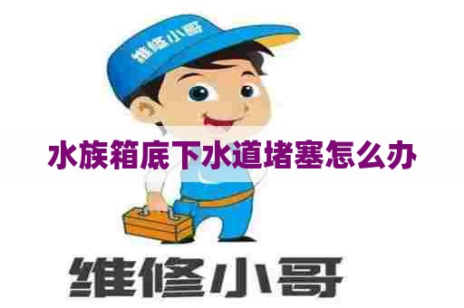 水族箱底下水道堵塞怎么办