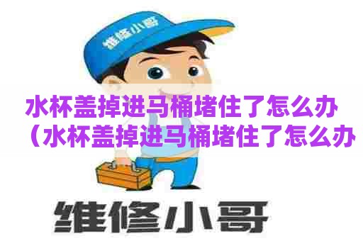 水杯盖掉进马桶堵住了怎么办（水杯盖掉进马桶堵住了怎么办啊）