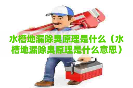 水槽地漏除臭原理是什么（水槽地漏除臭原理是什么意思）