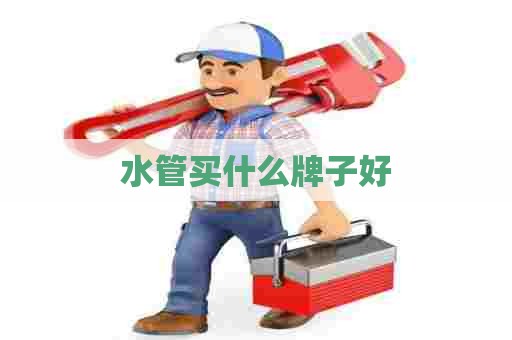水管买什么牌子好