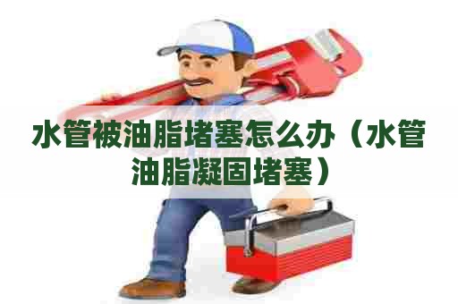 水管被油脂堵塞怎么办(水管油脂凝固堵塞) 水管被油脂堵塞怎么办(水管油脂凝固堵塞)