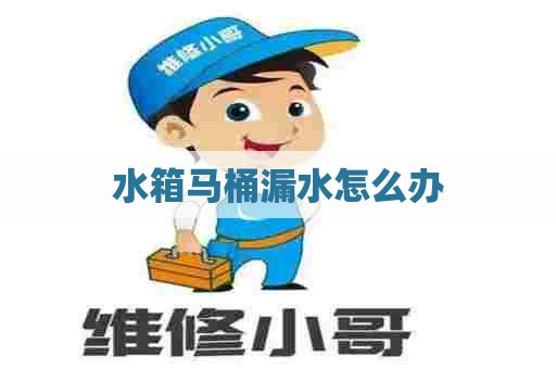 水箱马桶漏水怎么办 水箱马桶漏水怎么办