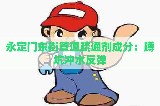 永定门东街管道疏通剂成分：蹲坑冲水反弹