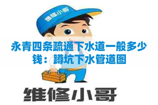 永青四条疏通下水道一般多少钱：蹲坑下水管道图
