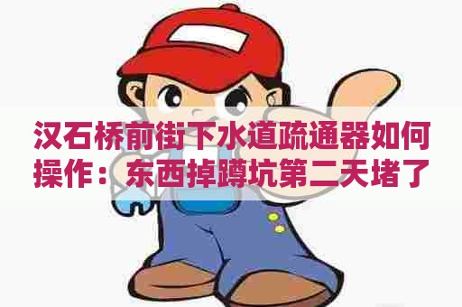 汉石桥前街下水道疏通器如何操作:东西掉蹲坑第二天堵了 汉石桥前街下水道疏通器如何操作:东西掉蹲坑第二天堵了