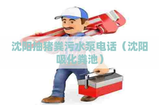 沈阳抽猪粪污水泵电话（沈阳吸化粪池）