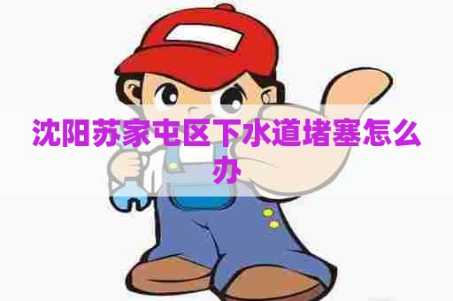 沈阳苏家屯区下水道堵塞怎么办