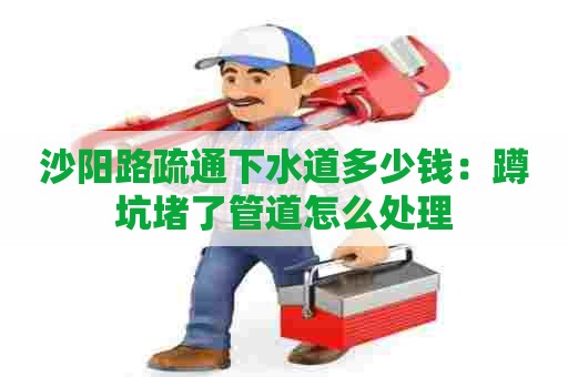 沙阳路疏通下水道多少钱:蹲坑堵了管道怎么处理 沙阳路疏通下水道多少钱:蹲坑堵了管道怎么处理