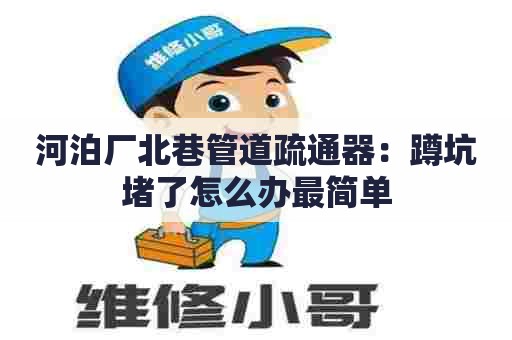 河泊厂北巷管道疏通器:蹲坑堵了怎么办最简单 河泊厂北巷管道疏通器:蹲坑堵了怎么办最简单