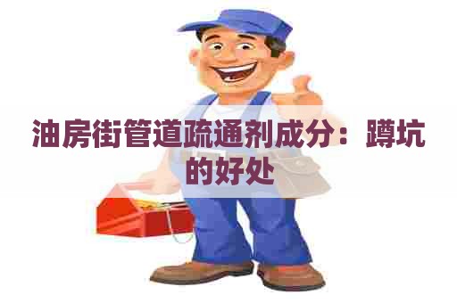 油房街管道疏通剂成分:蹲坑的好处 油房街管道疏通剂成分:蹲坑的好处