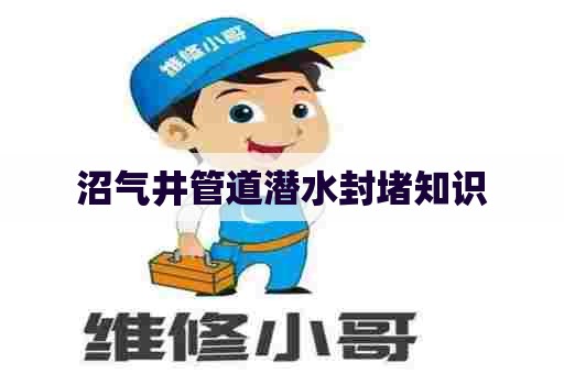 沼气井管道潜水封堵知识 沼气井管道潜水封堵知识