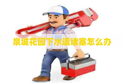 泉城花园下水道堵塞怎么办