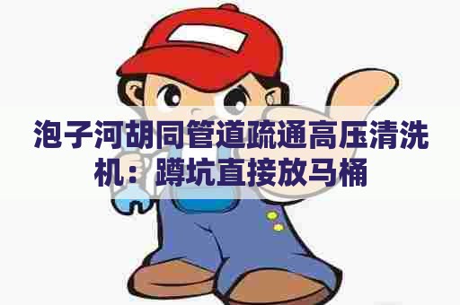 泡子河胡同管道疏通高压清洗机:蹲坑直接放马桶 泡子河胡同管道疏通高压清洗机:蹲坑直接放马桶