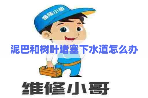 泥巴和树叶堵塞下水道怎么办