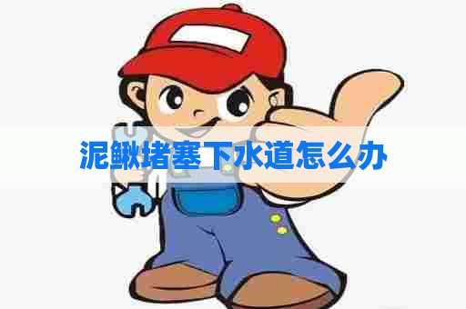 泥鳅堵塞下水道怎么办
