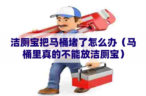 洁厕宝把马桶堵了怎么办(马桶里真的不能放洁厕宝) 洁厕宝把马桶堵了怎么办(马桶里真的不能放洁厕宝)