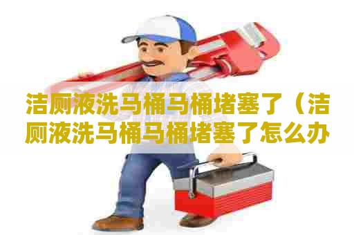 洁厕液洗马桶马桶堵塞了（洁厕液洗马桶马桶堵塞了怎么办）
