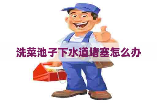 洗菜池子下水道堵塞怎么办